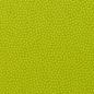 Preview: Baumwolle Dotty Kiwi by Swafing